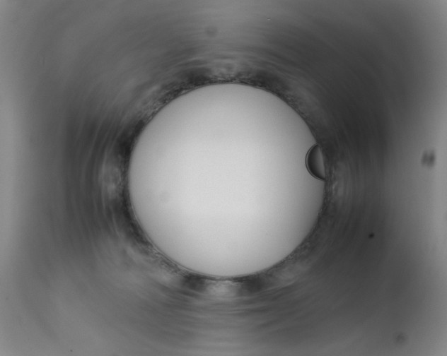 X0000112730226200909101459