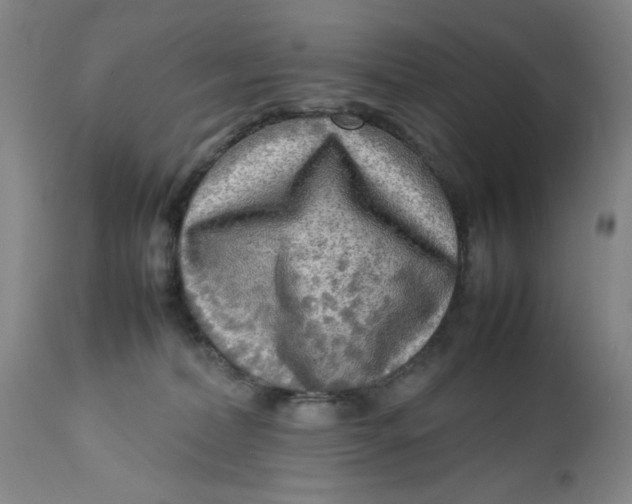 X0000112730228200909101459