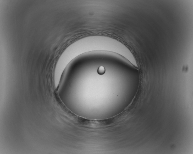 X0000112730229200909101459