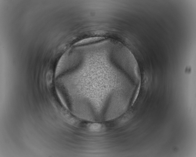 X0000112730230200909101459