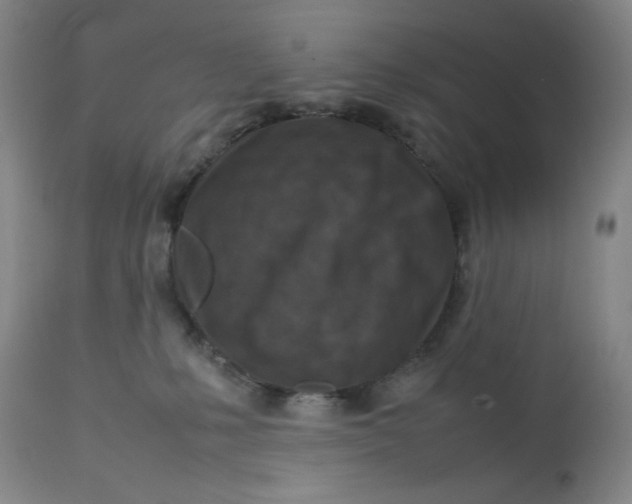 X0000112730231200909101459