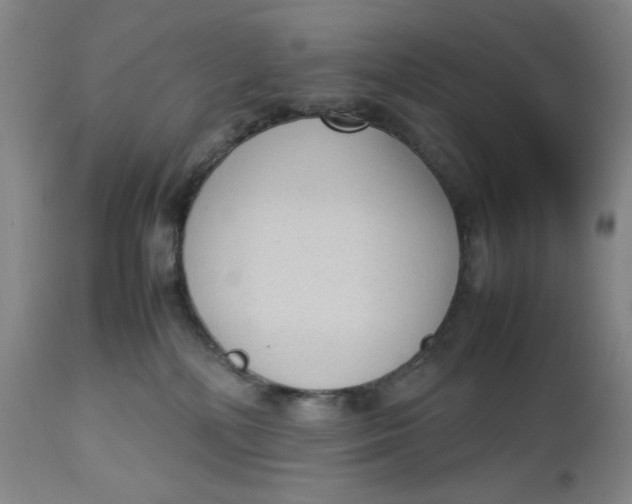 X0000112730232200909101459