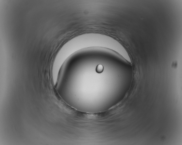 X0000112730233200909101459