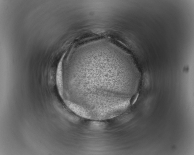 X0000112730234200909101459