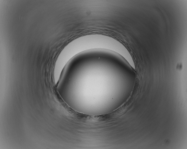 X0000112730235200909101459