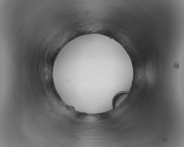 X0000112730236200909101459