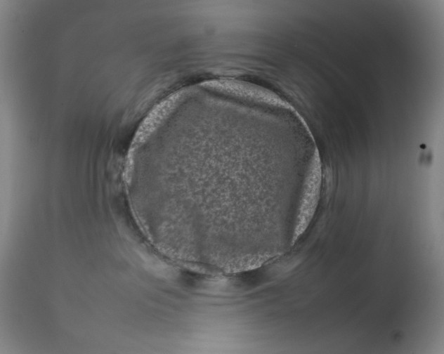 X0000112730237200909101459