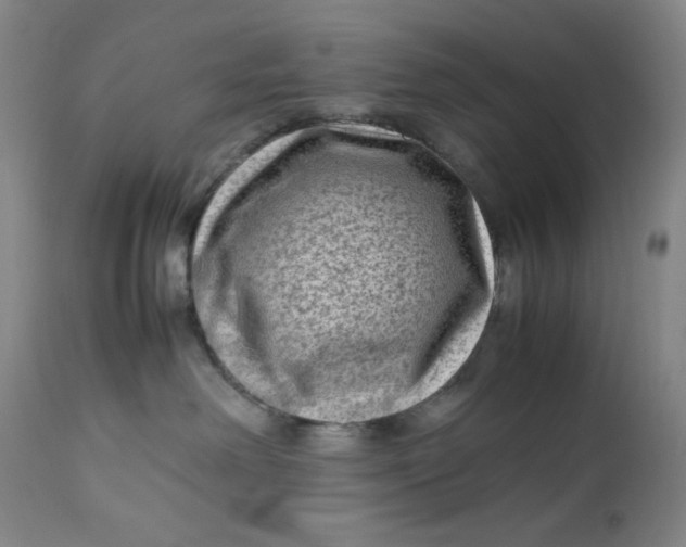 X0000112730238200909101459