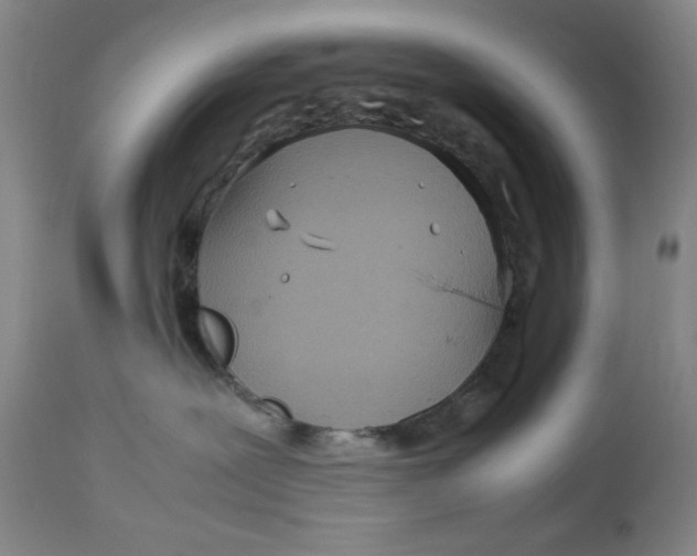 X0000112730239200909101459