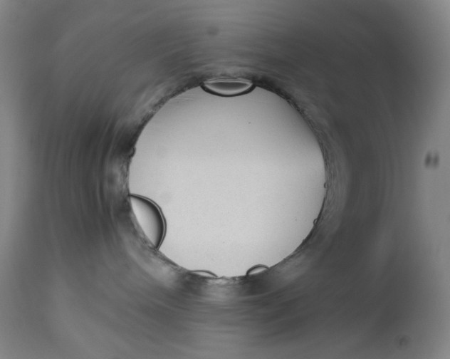 X0000112730240200909101459