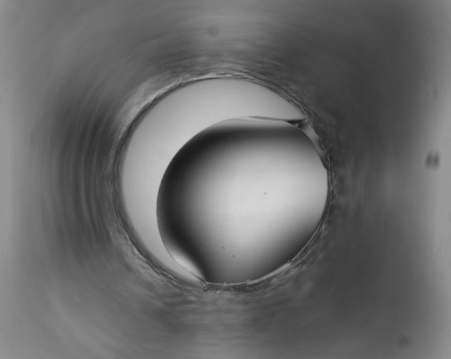 X0000112730242200909101458