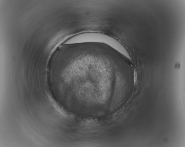 X0000112730243200909101458