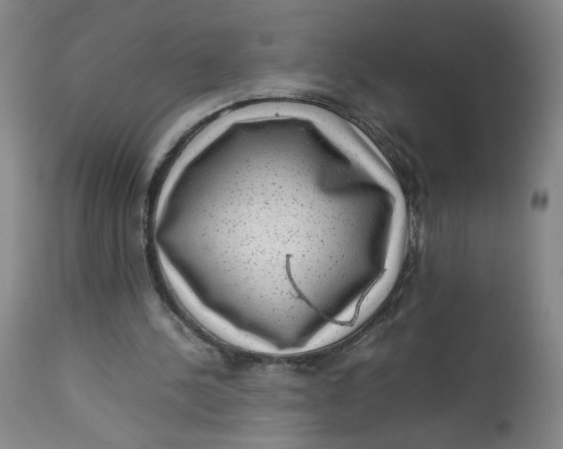 X0000112730244200909101458