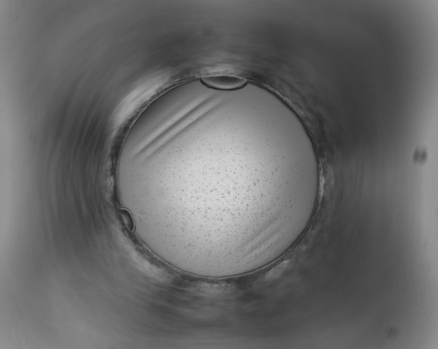 X0000112730245200909101458