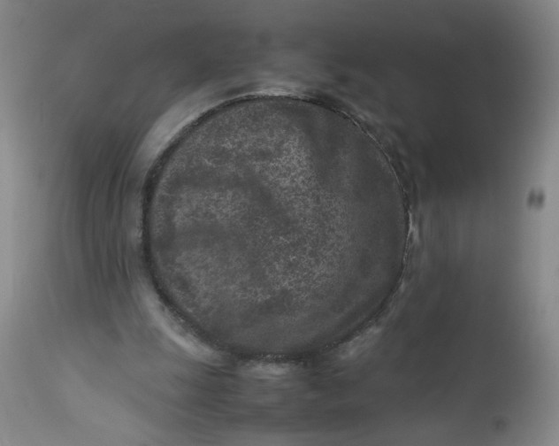 X0000112730247200909101459