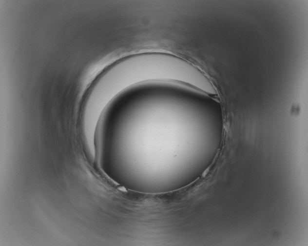 X0000112730248200909101459