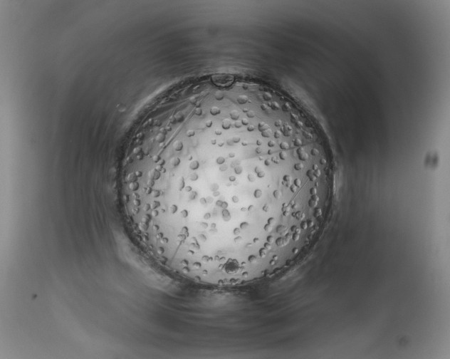 X0000112730249200909101459