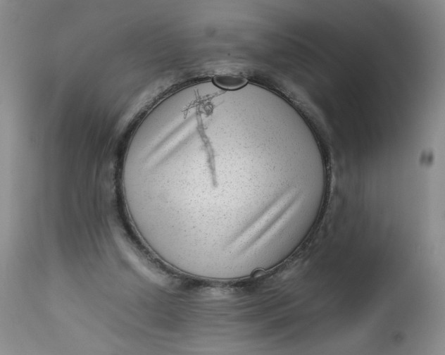 X0000112730250200909101459