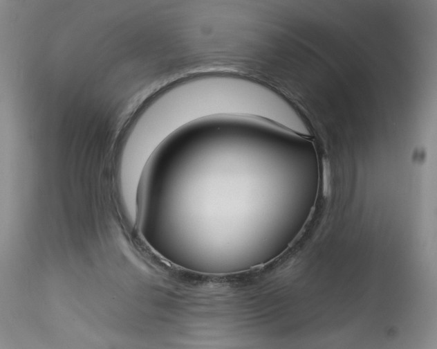 X0000112730252200909101459