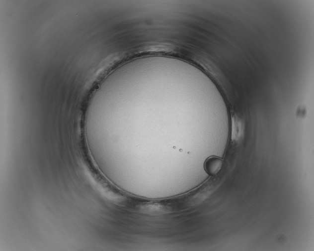 X0000112730253200909101459