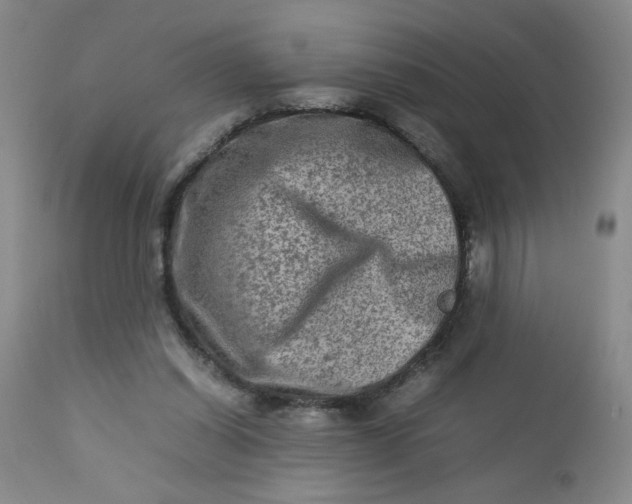 X0000112730254200909101459