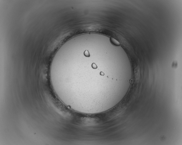 X0000112730255200909101459