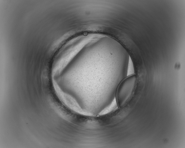 X0000112730256200909101459