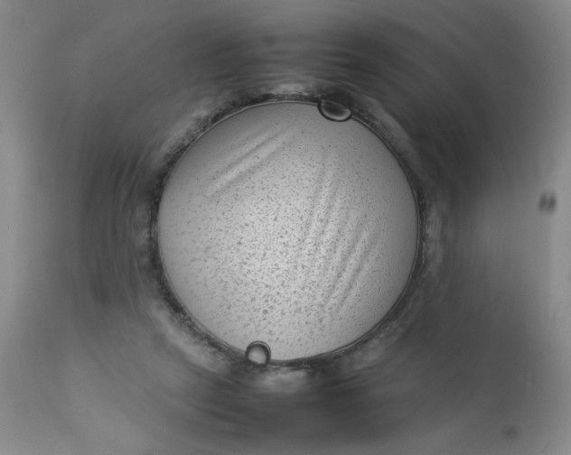 X0000112730257200909101459