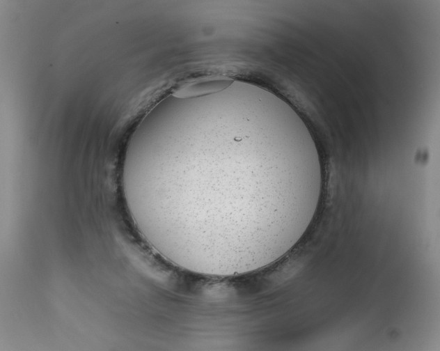 X0000112730258200909101459