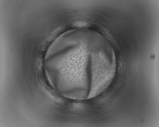 X0000112730259200909101459