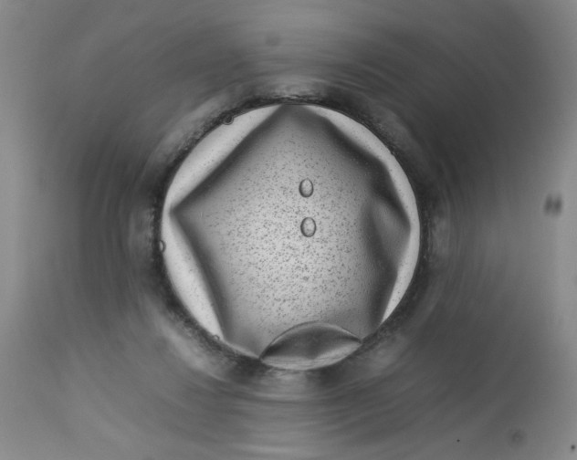 X0000112730260200909101459