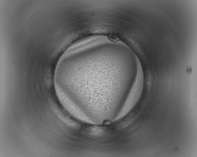 X0000112730261200909101459