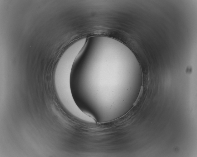 X0000112730263200909101459