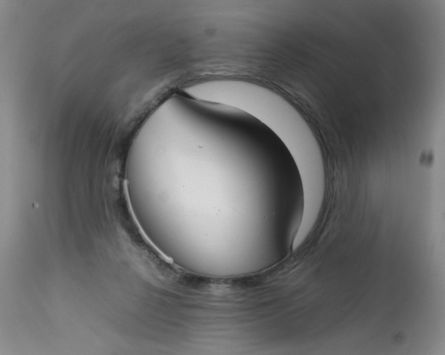 X0000112730264200909101459