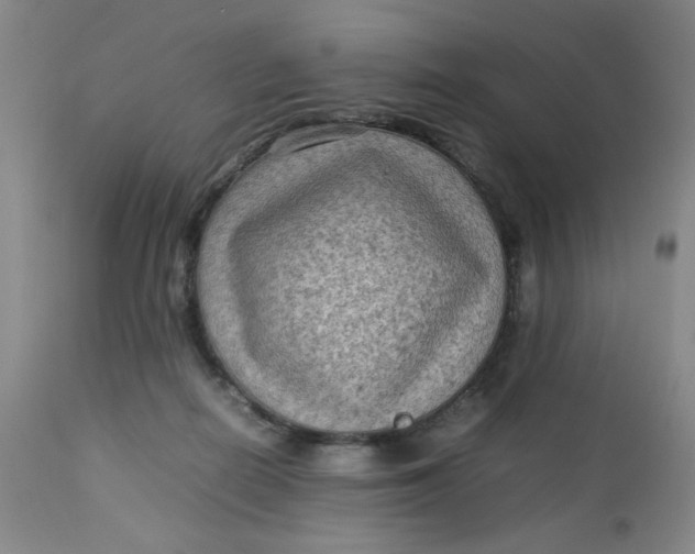 X0000112730266200909101459