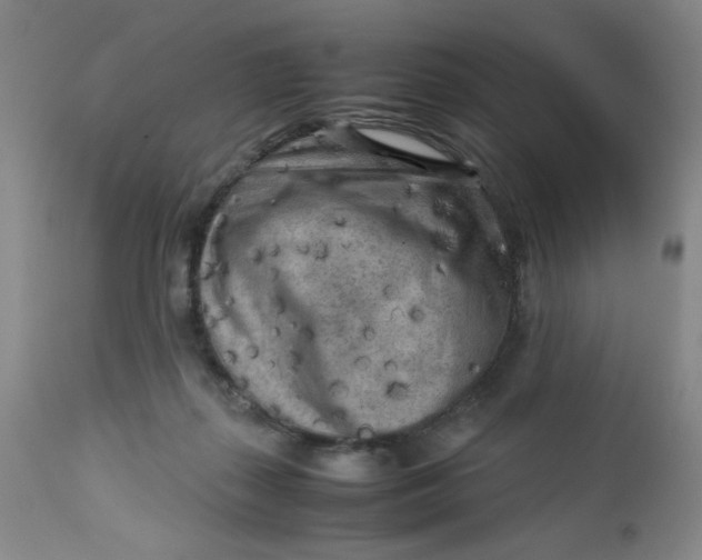 X0000112730267200909101459