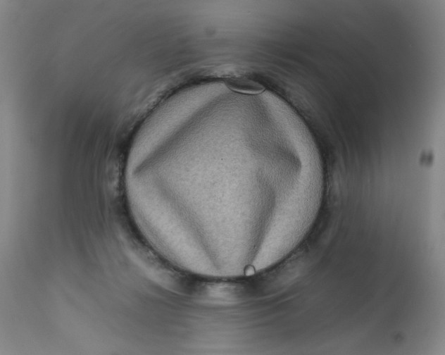 X0000112730268200909101459