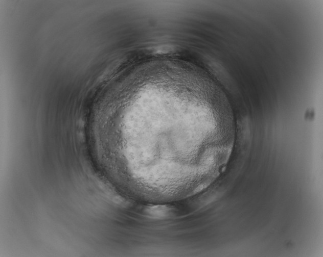 X0000112730269200909101459