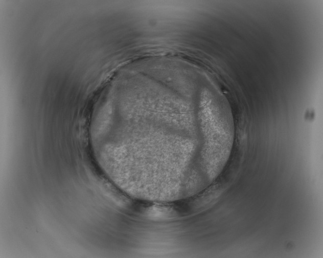 X0000112730270200909101459