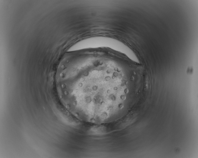 X0000112730271200909101459