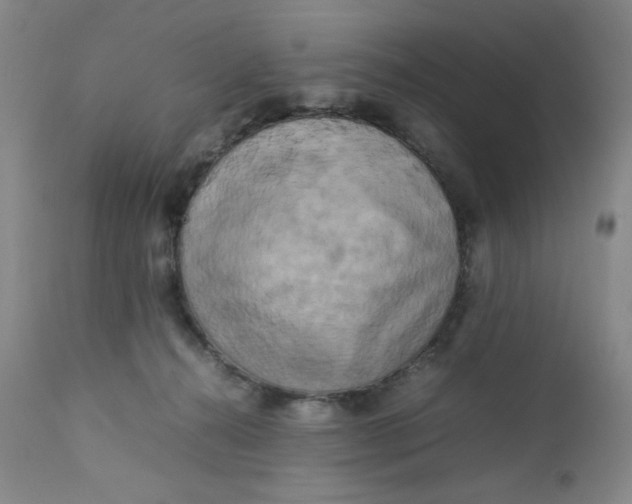 X0000112730272200909101459