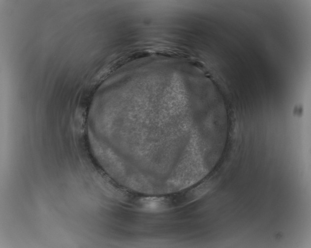 X0000112730273200909101459