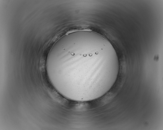 X0000112730274200909101459