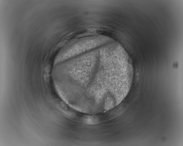 X0000112730275200909101459