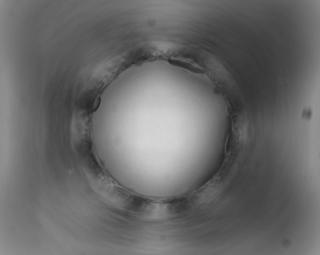 X0000112730276200909101459