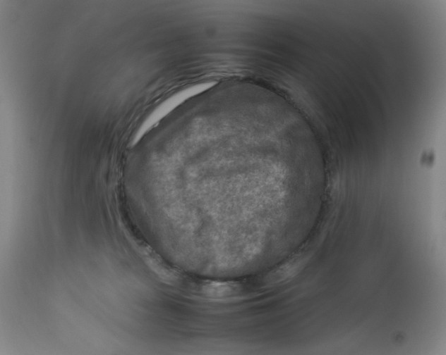 X0000112730277200909101459