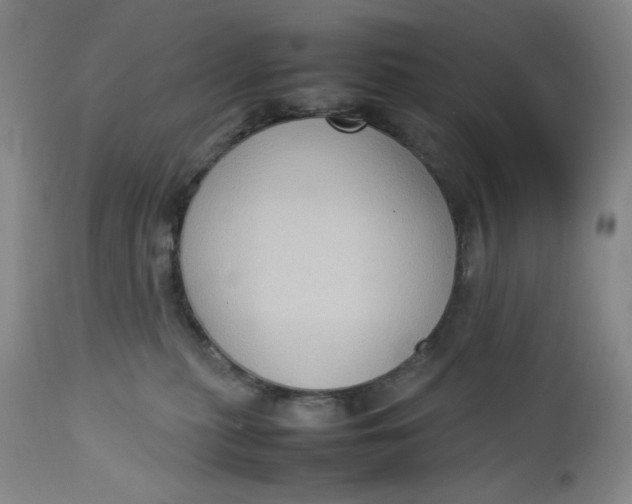 X0000112730279200909101459