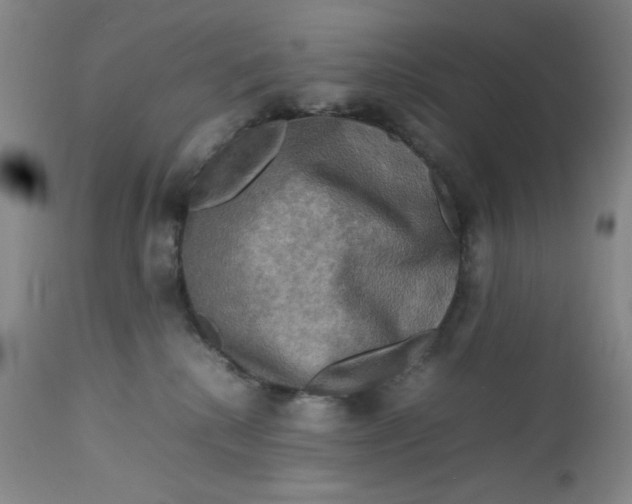 X0000112730280200909101459