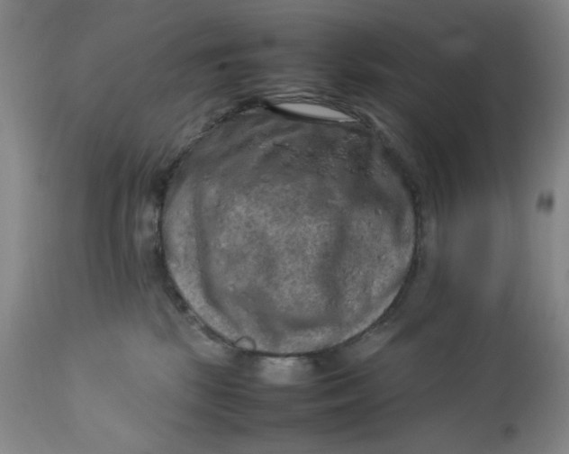 X0000112730281200909101459