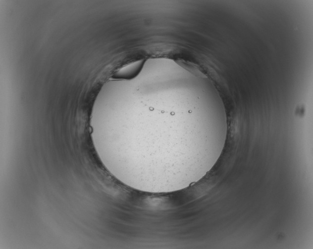 X0000112730283200909101459